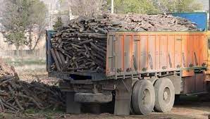 از یک دستگاه کامیون ۱۸ تن چوب قاچاق کشف شد